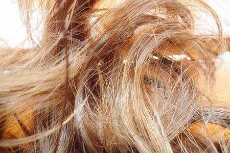 头发分叉能有多厉害 什么原因造成的要怎么修复
