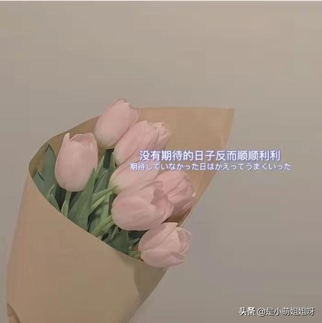 
        从50元到2000元，我的稿费翻了40倍，一学就会的赚钱方法        