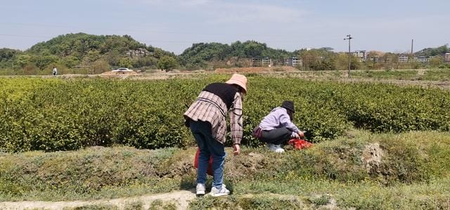 中国人口14亿之多,赚钱却越来越难?四点原因透露现实