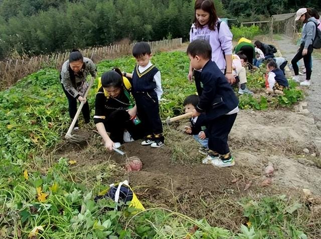 青年人回乡创业,有五个赚钱的门路