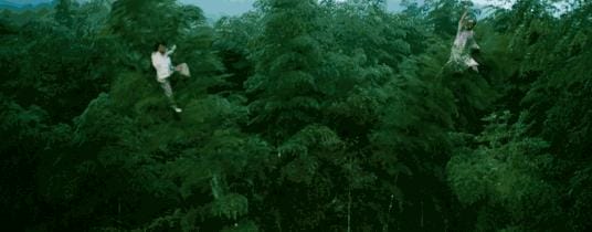 武侠剧排行榜前十名（给国内10部武侠片排个名）(37)