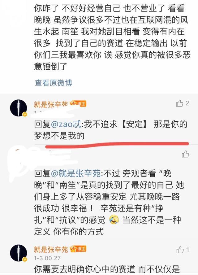 张辛苑南笙怎么走红的（还记得豆瓣三女神吗）(25)