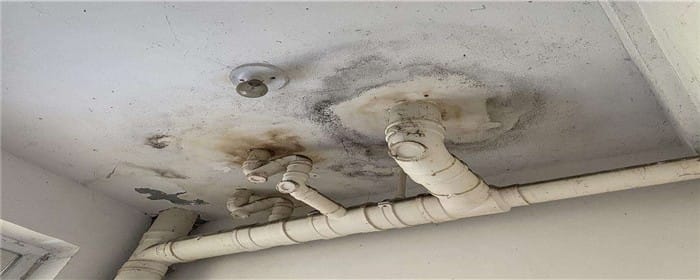 6205345905_d59a564256-160x160