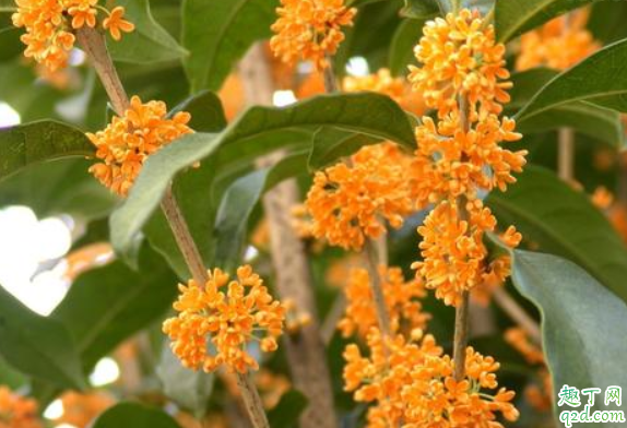 6205345905_d59a564256-160x160