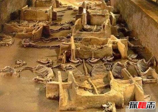 中国三大古墓没人敢挖 中国最神秘的三大古墓曝光