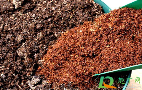 泥炭土和松针土哪个种花更好 泥炭土和松针土混合好种花吗