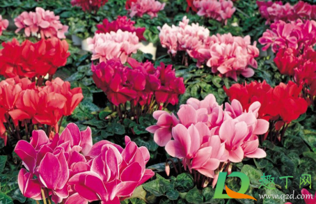 6205345905_d59a564256-160x160