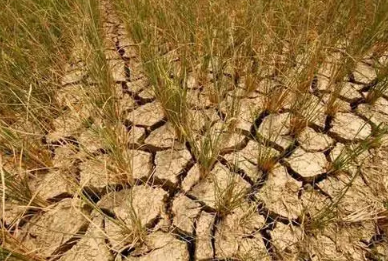 2023年四川干旱严重吗 四川2023是旱还是涝