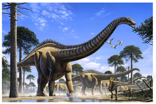 南极龙 四足行走的食草性恐龙 南美洲恐龙