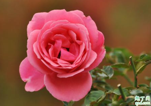 6205345905_d59a564256-160x160