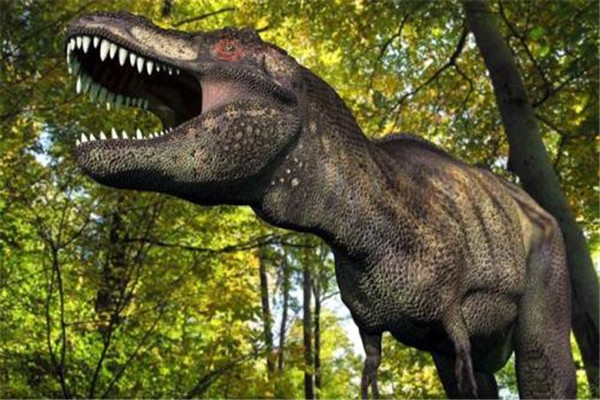 祖母暴龙 生存在1 5亿年前的暴龙祖先 最古老暴龙