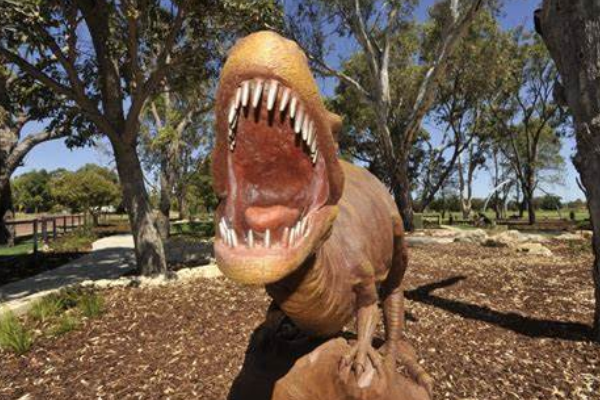 澳洲盗龙 最原始的澳洲恐龙 仅出土一块左胫骨