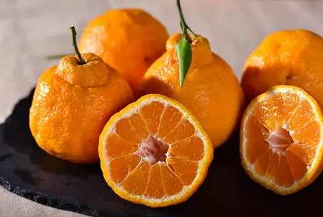 丑橘能卖到几月份-丑橘什么时候是应季
