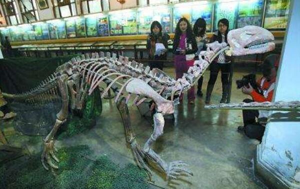 盐都龙 四川小型杂食性恐龙 长1 5米 距今1 63亿年前