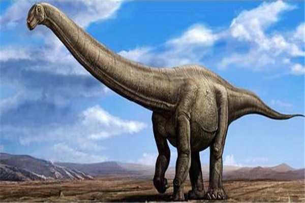 近蜥龙 远古时代已灭绝的行走者 生存时间比较长