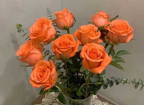 6205345905_d59a564256-160x160