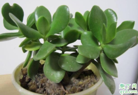 6205345905_d59a564256-160x160