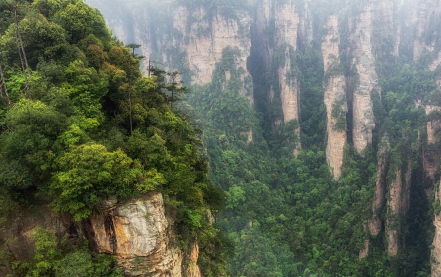 2022年能恢复国际旅游吗 2022年出境游还有戏吗