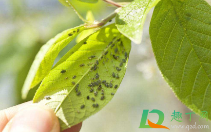 6205345905_d59a564256-160x160