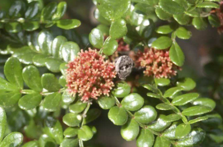 6205345905_d59a564256-160x160