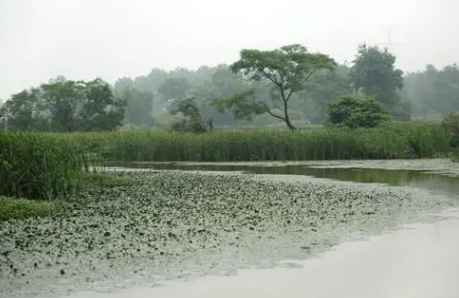 6月份是不是梅雨季节 每年的梅雨一般从几月份开始