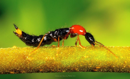 6205345905_d59a564256-160x160