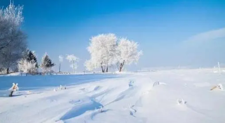 2024年吉林冬天中到大雪最低温度是多少 吉林今年冬天雪多还是雪少