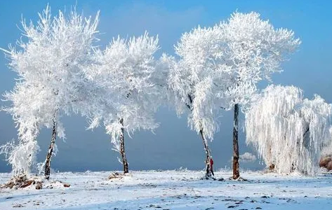 2024年吉林冬天中到大雪最低温度是多少 吉林今年冬天雪多还是雪少