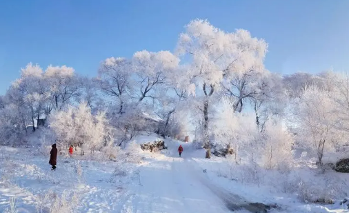 2023年吉林市雾凇冰雪节开幕时间是什么时候 吉林市雾凇冰雪节在哪里举办