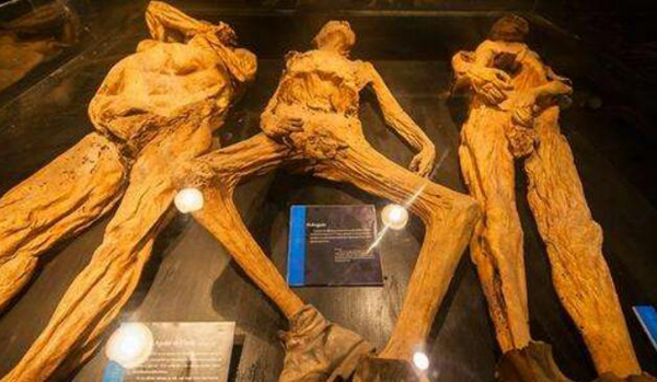地球各地都发现巨型人骨 是否证明历史上曾有巨人族