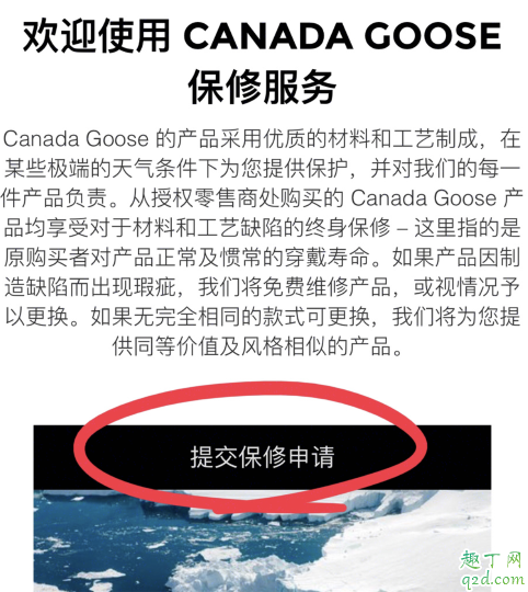 白色加拿大鹅脏了怎么办 中国哪里能洗加拿大鹅