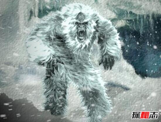 喜马拉雅山雪人遗骸曝光 被证实雪人就是史前未灭绝的熊