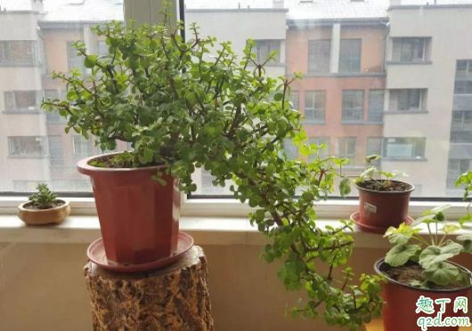 6205345905_d59a564256-160x160