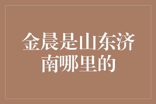 金晨：闪耀于山东济南的璀璨之星