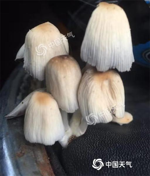 重庆潮湿怎么办