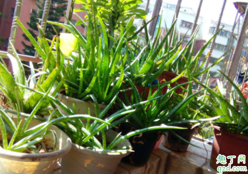 6205345905_d59a564256-160x160