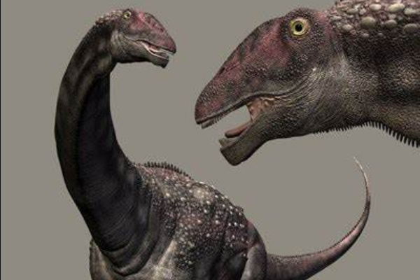 泰坦巨龙恐龙 迪亚曼蒂纳龙 身长16米 诞生于白垩纪
