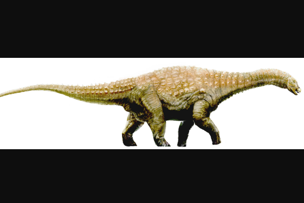 泰坦巨龙恐龙 迪亚曼蒂纳龙 身长16米 诞生于白垩纪