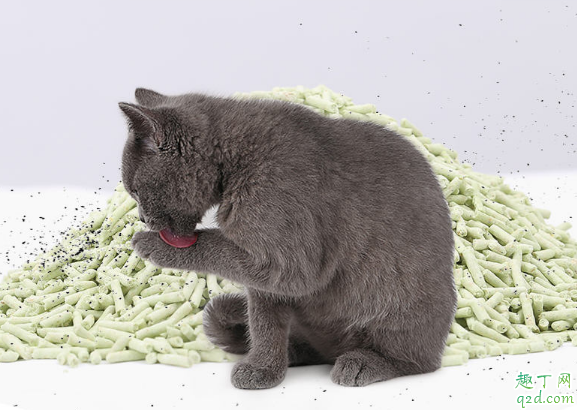 猫砂长毛了还可以用不 买的猫砂怎么保存