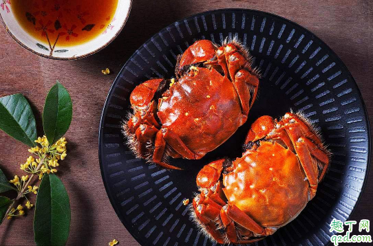大闸蟹和梭子蟹哪个好吃 大闸蟹和梭子蟹味道有什么不同