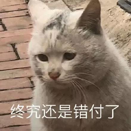 流行网络的新型鸡汤,莫过于就是喊你搞副业了