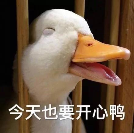 流行网络的新型鸡汤,莫过于就是喊你搞副业了
