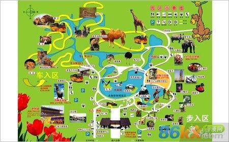 上海野生动物园在哪里|上海野生动物园的介绍