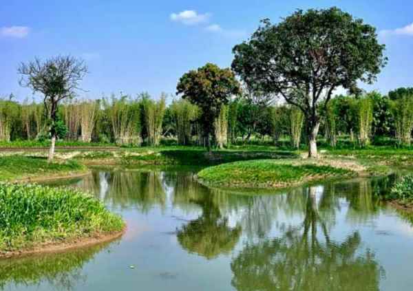 广州海珠湿地公园有什么景点_海珠湿地公园有年票吗