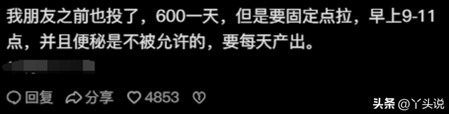 笑晕!被大家做过的离谱副业惊呆了!完全让人想不到 还能这样赚钱