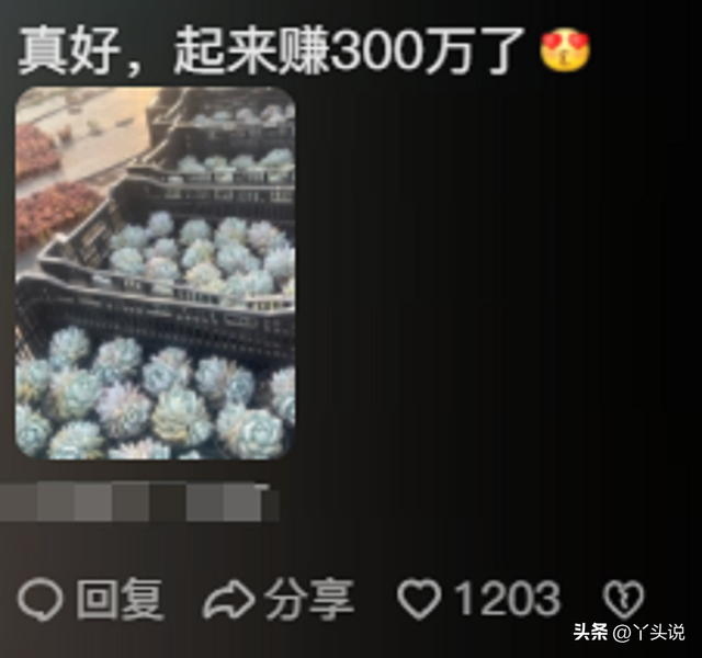 笑晕!被大家做过的离谱副业惊呆了!完全让人想不到 还能这样赚钱