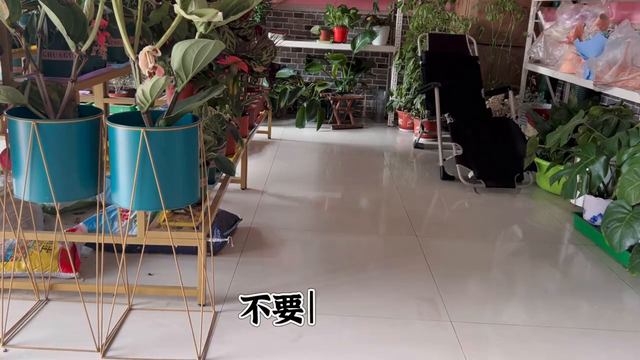 新手开店避坑指南#花与生活